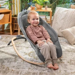 Ingenuity Every Season Rocking Seat