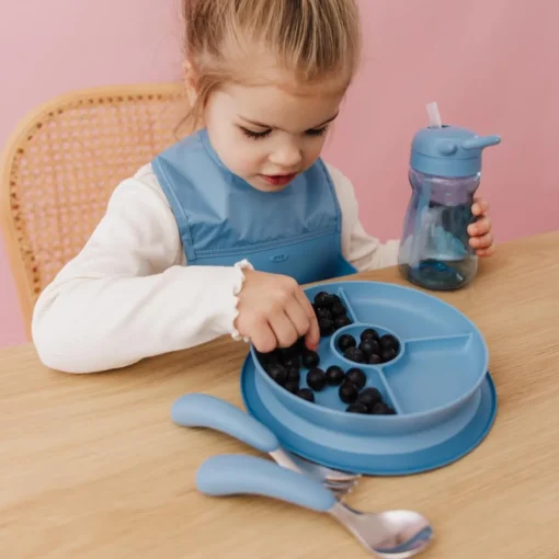 OXO Tot Stick & Stay Suction Divided Plate