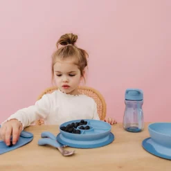 OXO Tot Stick & Stay Suction Divided Plate